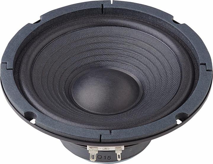 Image du produit Visaton W 170 woofer hi-fi, 8 Ohm