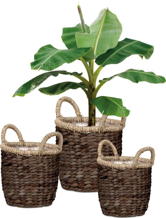 Produktbild Scheurich Water hyacinth 34, Korbgefäss/Korb-Pflanzgefäss/Korbtopf mit Griffen aus Water hyacinth Farb (34 cm)