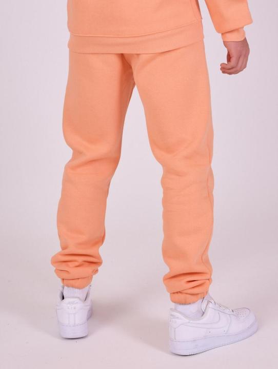 Immagine prodotto Project X Paris joggers (XL)