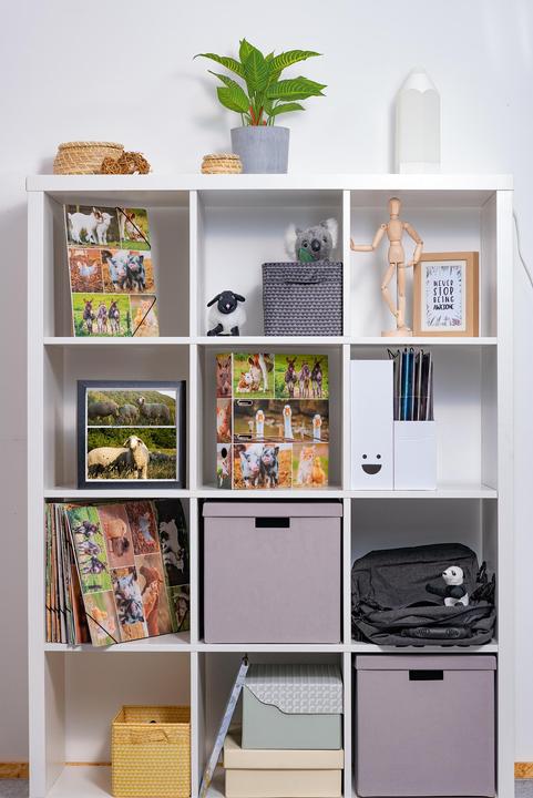 Actual product image HERMA A4 folder motif (A4, 70 mm, 1 pcs.)
