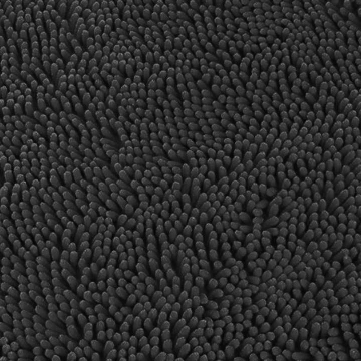 Image du produit Scruffs Tapis de séchage pour chiens Noodle