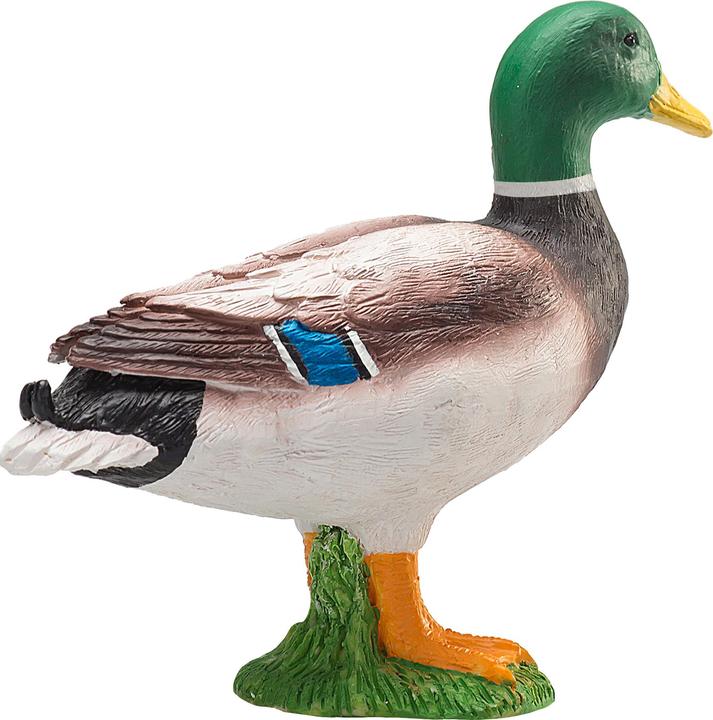 Image du produit Animal Planet Canard colvert Erpel