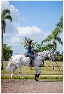 Horseware Ausreitdecke Amigo