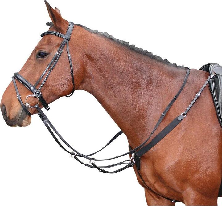 Produktbild Harry's Horse Elastisches Vorderzeug für Pferde
