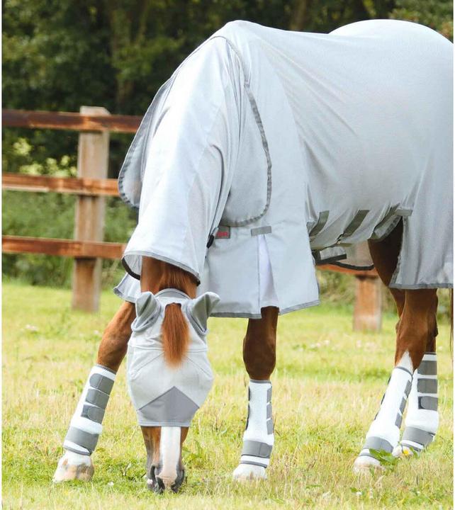 Produktbild Premier Equine Fliegenschutz-Gamaschen Pro Tech Bug & Fly Boots (L)