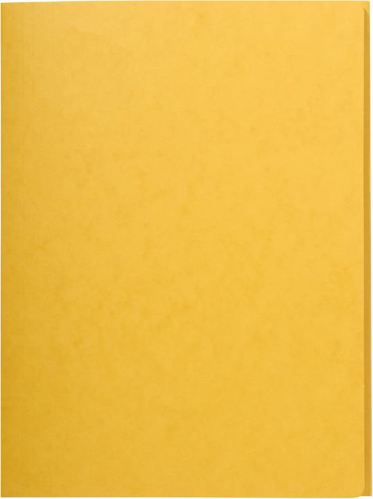Immagine prodotto Exacompta Scrapbook - Copertine di file (A4, 1x)