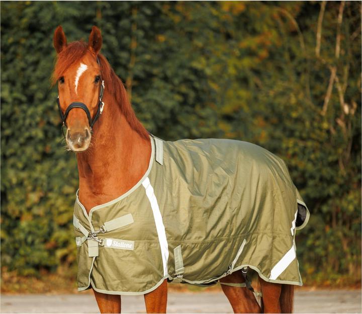 Actual product image Stallone Pasture rug 50 g Outdoor Guard (165 cm)