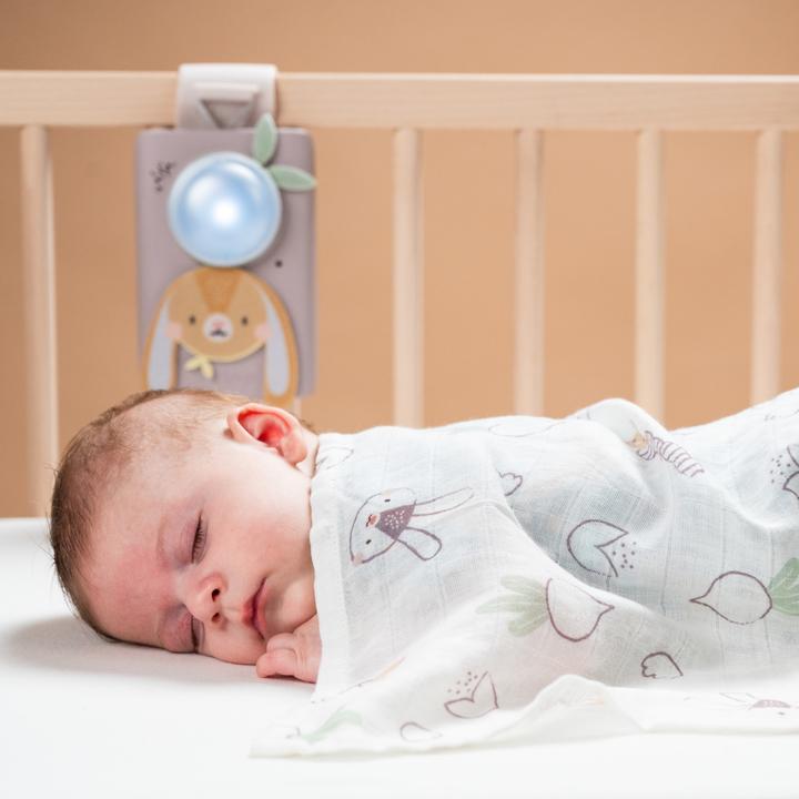 Actual product image Taf Toys Ensemble bébé apaisant lapin