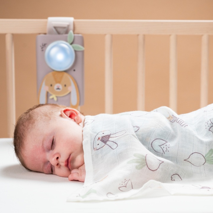 Image du produit Taf Toys Ensemble bébé apaisant lapin