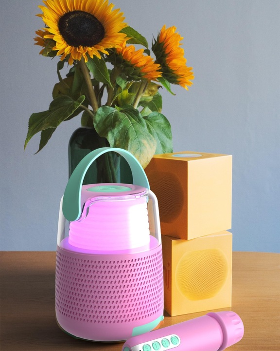 Actual product image Mobility on Board Speakers & Karaoke KS-80 (24 h)