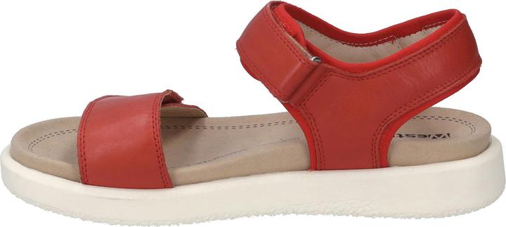 Produktbild Westland 25401-410 (38)