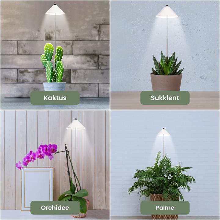 Immagine prodotto Colibri SUNLiTE bianco (LED, 230 V)