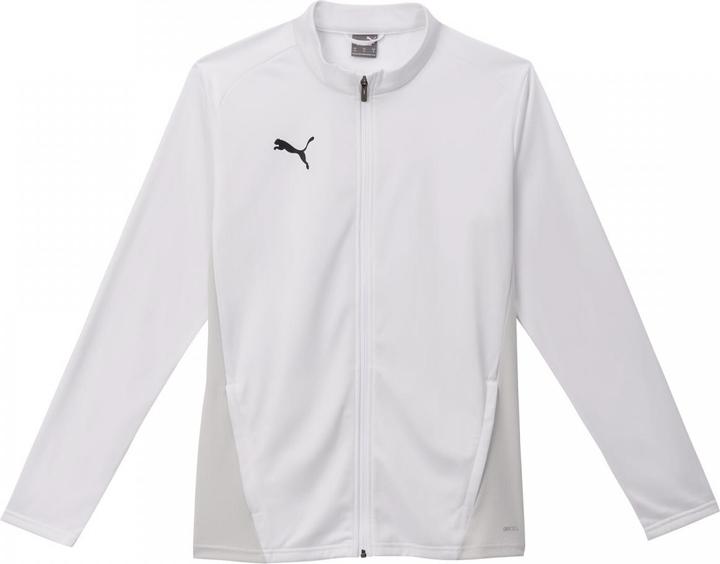 Actual product image Puma teamGOAL Training Jacket Jr (128)