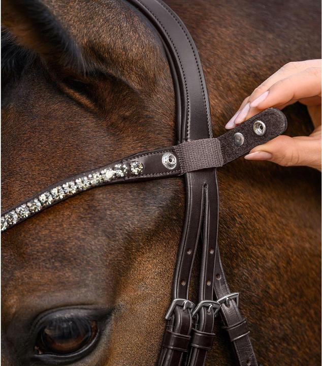 Immagine prodotto Waldhausen X-Line Shine