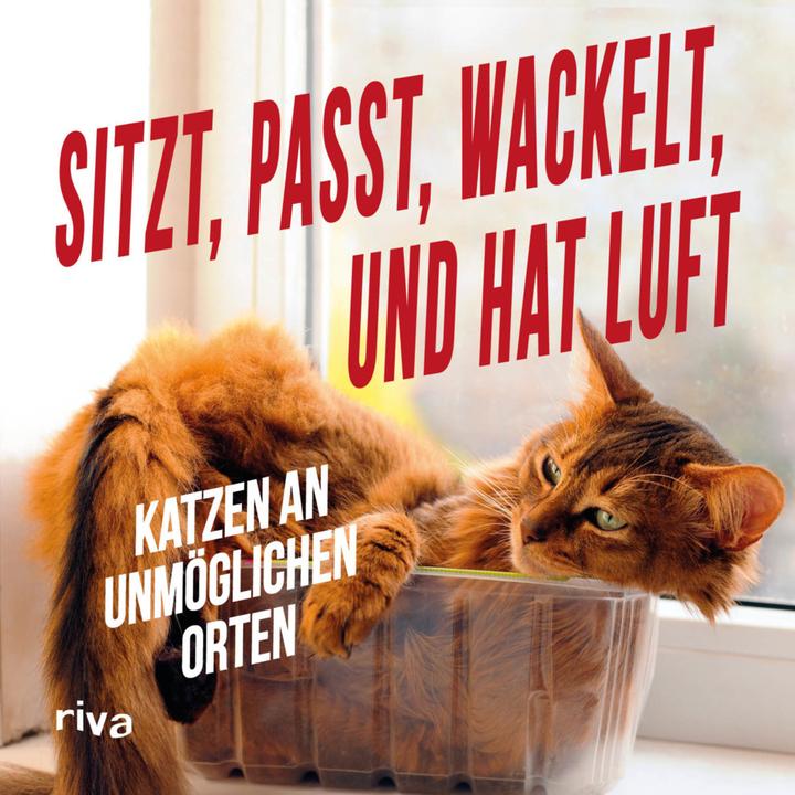 Produktbild Sitzt, passt, wackelt und hat Luft (Deutsch, 2016)