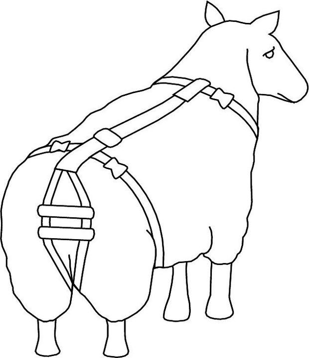 Produktbild Kerbl Vorfallbandage für Schafe