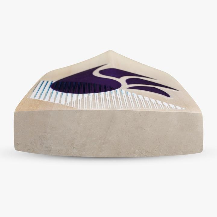 Actual product image DSC Blu 2000 Willow Cricket Bat (33.86")