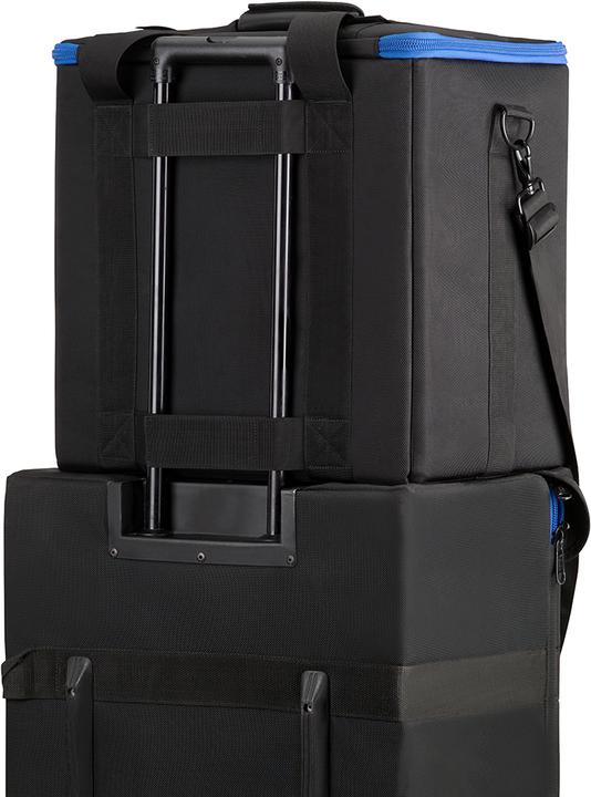 Actual product image Tenba Car Case