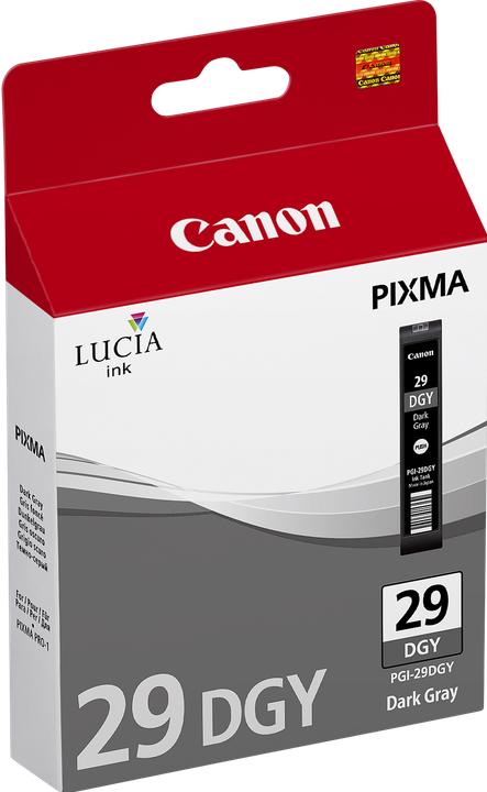 Produktbild Canon Pgi-29dgy (DGY)
