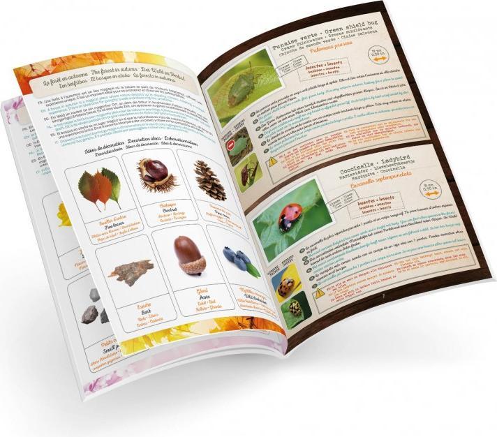 Produktbild Buki Terrarium Bl034