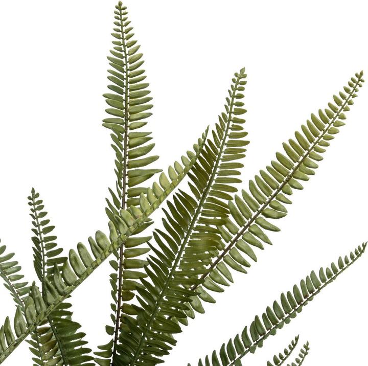 Immagine prodotto DPI Giardino (120 cm)