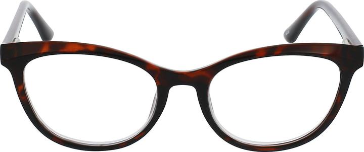 Produktbild Invu Lesebrille 2.50dpt IB62408G (+2.5)