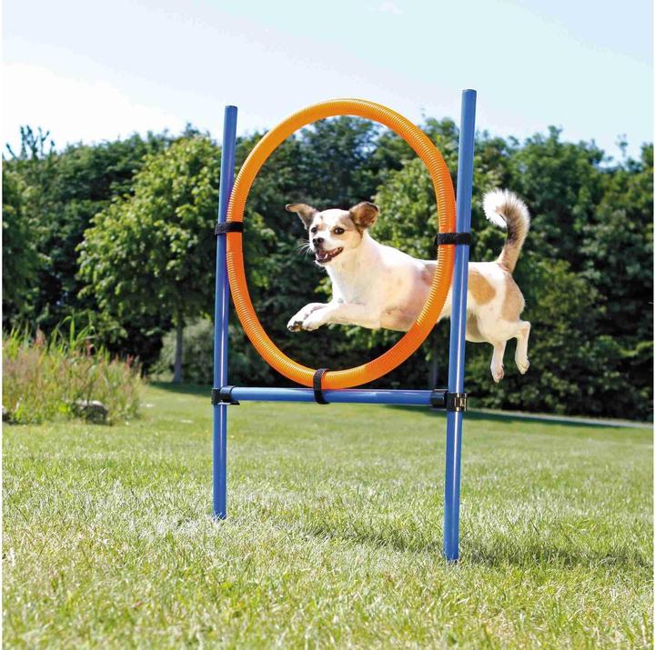 Trixie Dog Activity Agility Ring (Agility)
