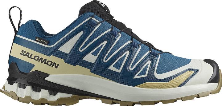 Salomon Herren XA Pro 3D v9 GTX Laufschuhe