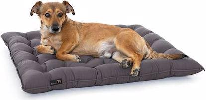Actual product image Pointer Urban dog cushion (Dog)