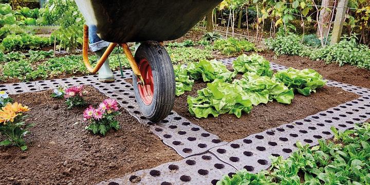 Produktbild Garantia Maxi-Beetplatte