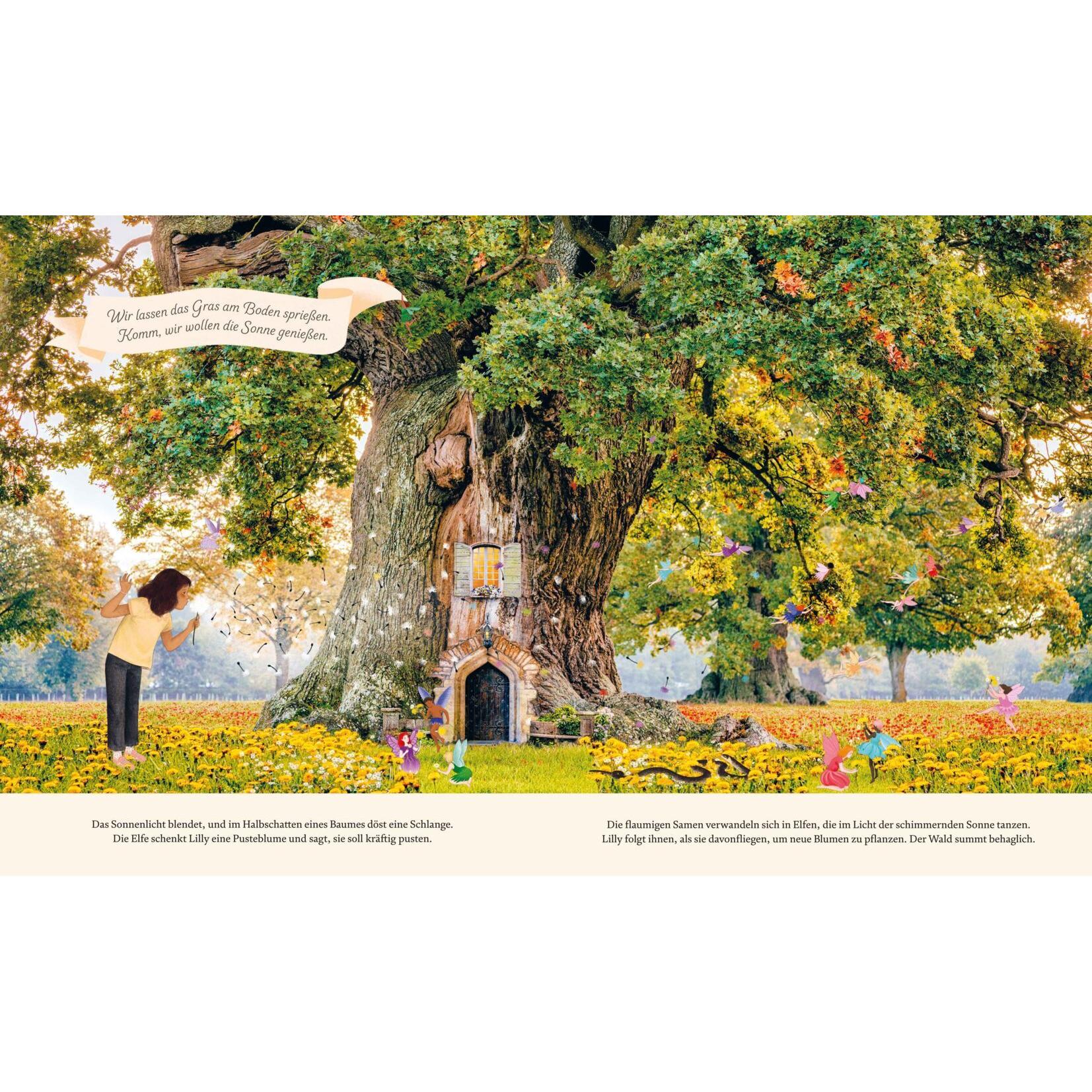 Thumbnail - Hinter der Elfentür, Kinderbücher von Lars van de Goor, Giulia Tomai, Gabby Dawnay