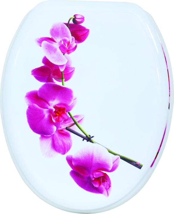 Actual product image MSV Lanyu