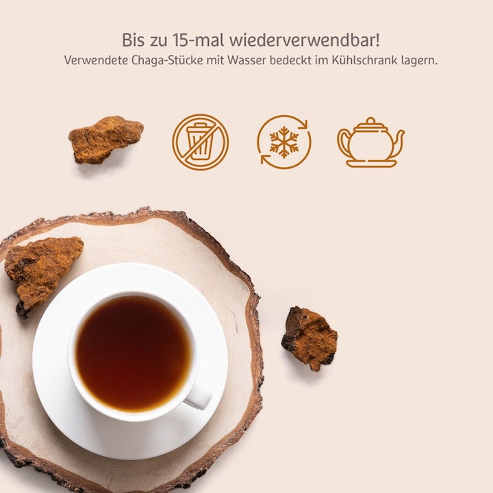 Produktbild Effective Nature Bio Chaga Pilz aus Wildsammlung (1 Stück, 100 g)
