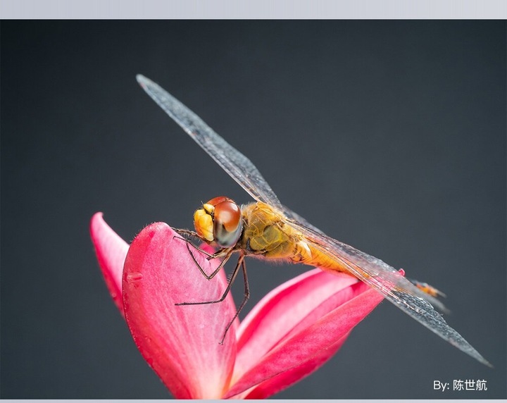 Actual product image TTArtisan Fixed focal length 40 mm F/2.8 (Nikon Z, APS-C / DX)
