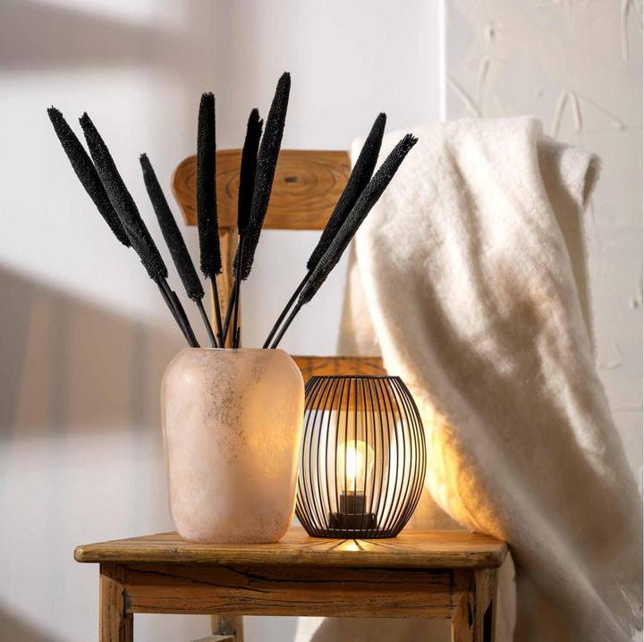 Produktbild Leonardo Trogolo (1x, 6.79 l)