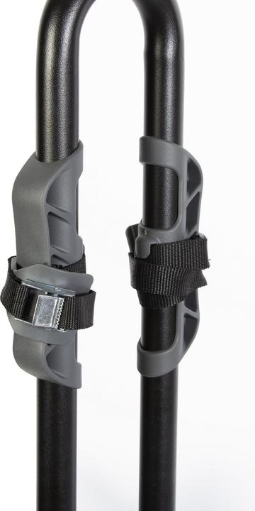 Actual product image BuzzRack Buzzy Bee 2