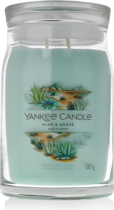 Actual product image Yankee Candle Aloe & Agave