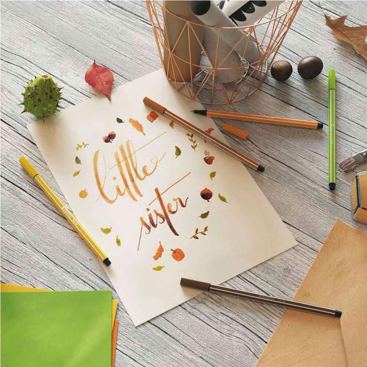 Productafbeelding STABILO Pen 68 Premium viltstift (Lichtgrijs, 1 x)