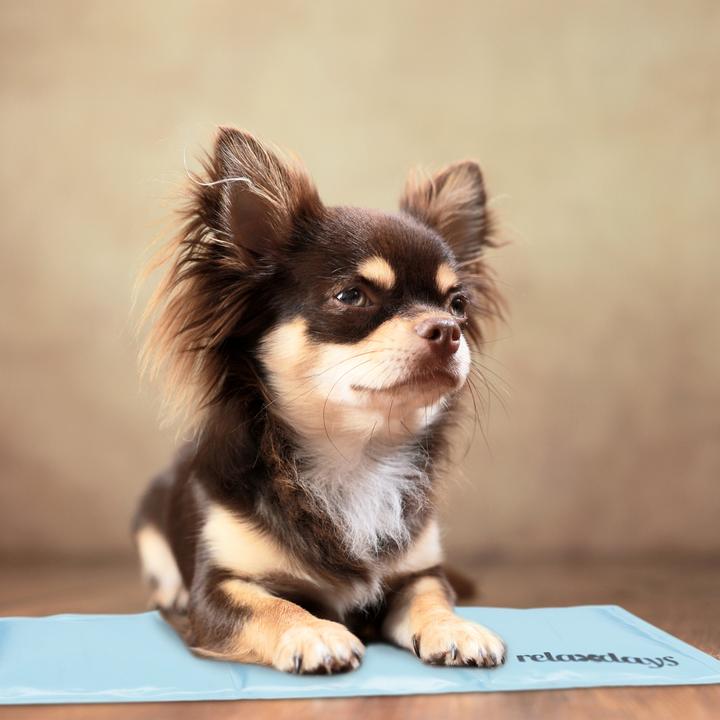 Image du produit Relaxdays Tapis réfrigérant chien (Chien)