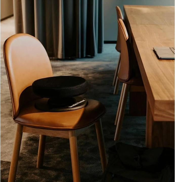 Image du produit Swedish Posture Posture Balance Core