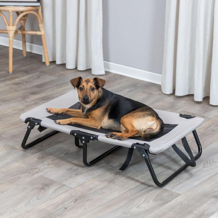 Produktbild Trixie Hundeliege Strong Edition, 79 x 19 x 50 cm, Grau / Schwarz (Hund)