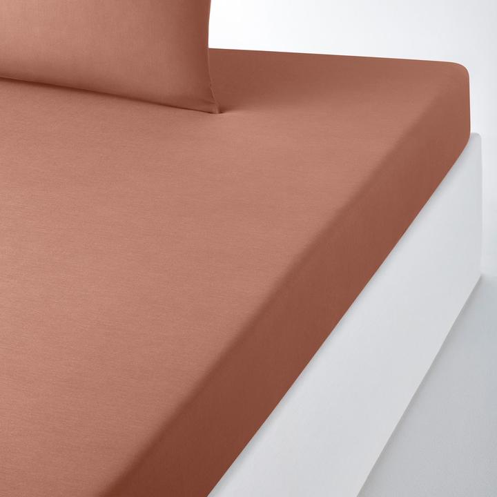 Immagine prodotto La Redoute Interieurs Scenario Coton (140 x 200 cm)