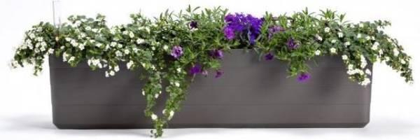 Produktbild Plastia Berberis 80 (78 x 19.50 x 19.70 cm)