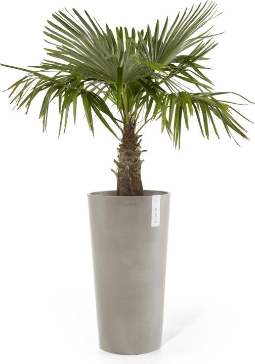 Actual product image Ecopots Amsterdam hoch (76 cm)