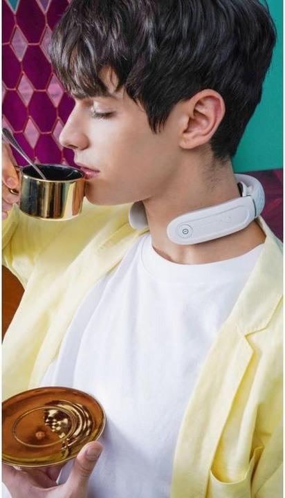Actual product image SKG Neck massager