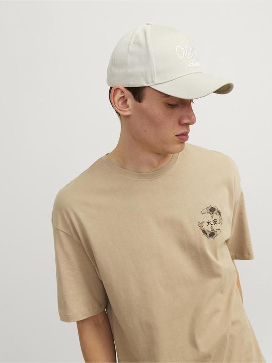 Actual product image Jack & Jones Jacpaint Baseball Cap Noos Ln (One size)