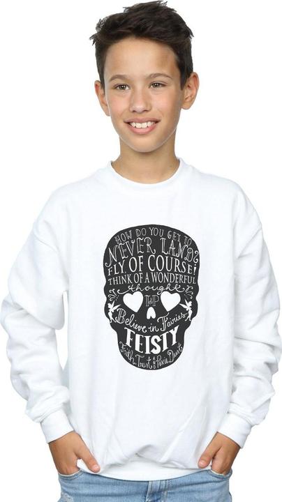 Produktbild Disney Tinker Bell Skull Sweatshirt Jungen (152, 158)