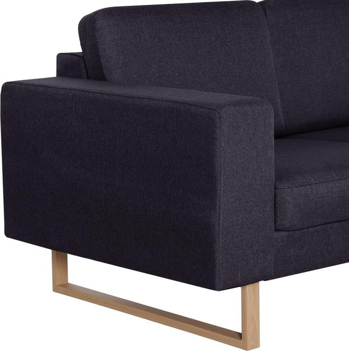 Image du produit vidaXL Domokos (2 places)