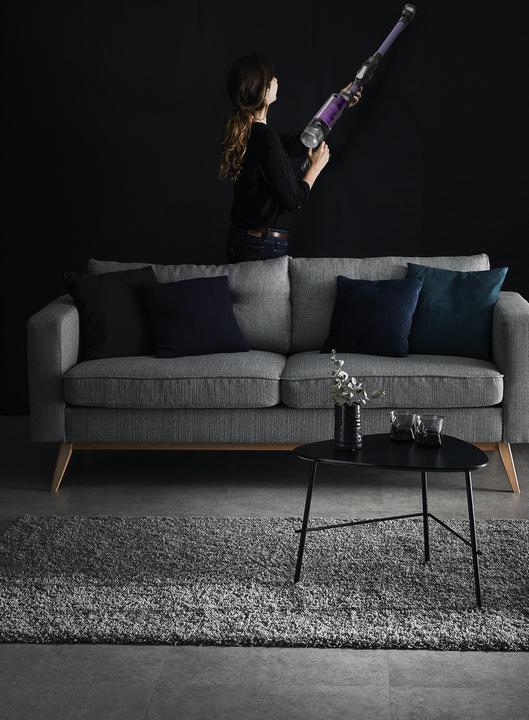 Actual product image Rowenta X-Force Flex 9.60 RH2039