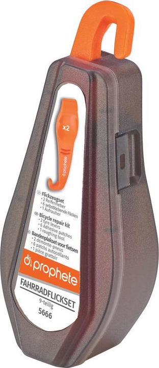 Actual product image Prophete Fusion